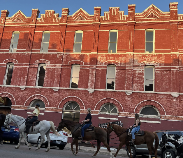 Austin: Maverick Horsemanship Trail Ride